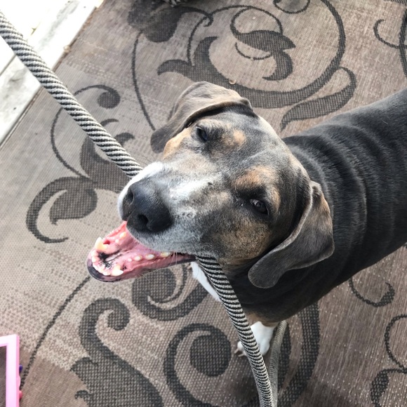 Meet your Posher, Mary - Picture 1 of 1